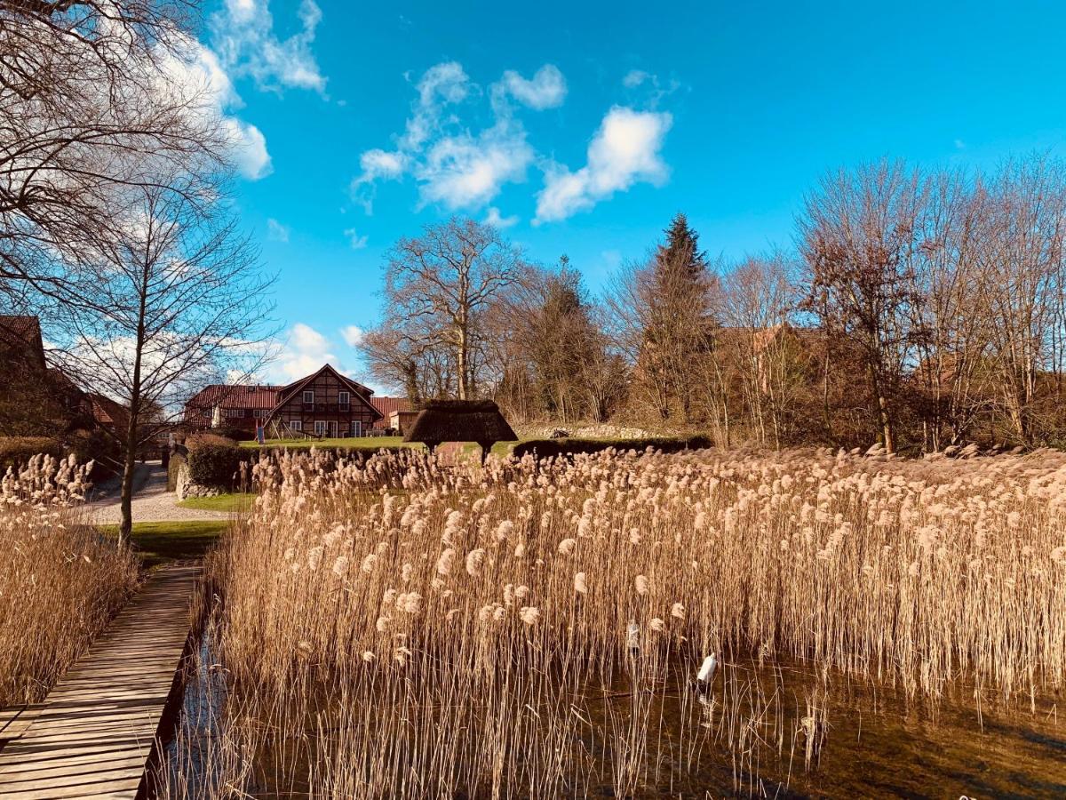 Fischhaus Am Schaalsee Zarrentin am Schaalsee Екстериор снимка